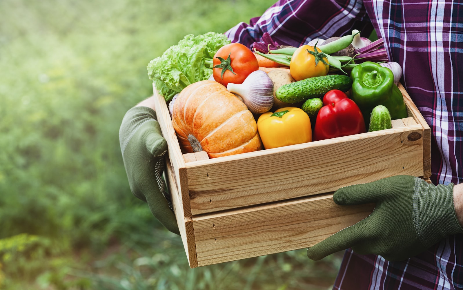 Local Farm Offers Fresh Produce Picked The Day You Get It Airdrielife 
