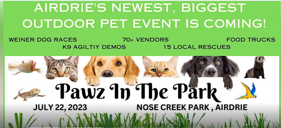 Big pawz hotsell dog rescue